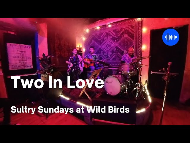 Two In Love Performance for Sultry Sundays at Wild Birds, Brooklyn (360° Video)