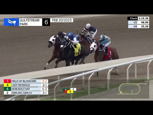 Gulfstream Park Carrera 6 - 20 de Febrero 2025