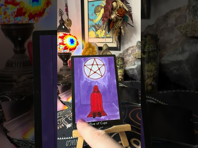 🔮🧿Daily Tarot Reading 🪬👁️🪄🔮Mystical Quickie🪬💞 #tarotreading  #dailytarot #tarotguidance