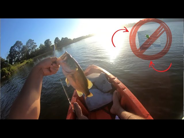 Losing my new lure and crying Fishing gone bad