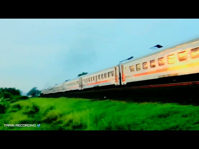 COMPILATION TRAIN AT MORNING - Train Videos