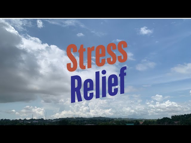 Stress Relief for Long Term Wellbeing