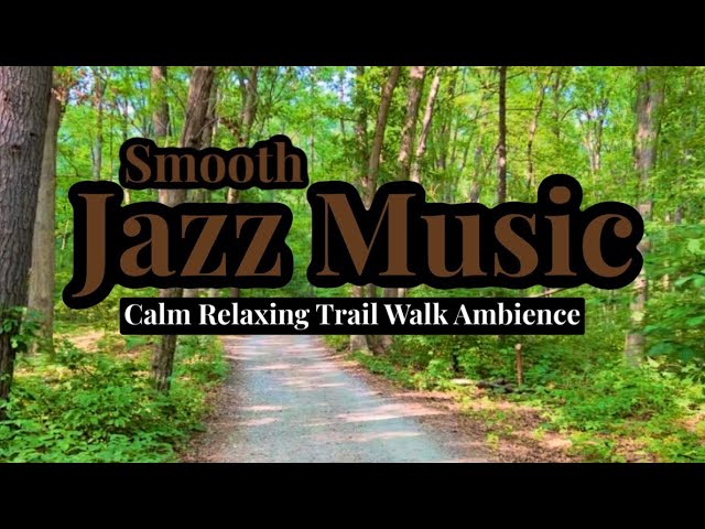 Walking Trails Ambience With Smooth Jazz Music-Chill & Relax-Smooth Jazz Music-Jazz Instrumentals 🎶