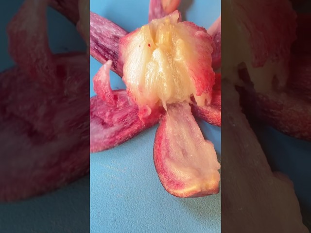 #star apple milk fruit #satisfying #trending #shorts #explore #fyp #viralvideo #cuttingskills