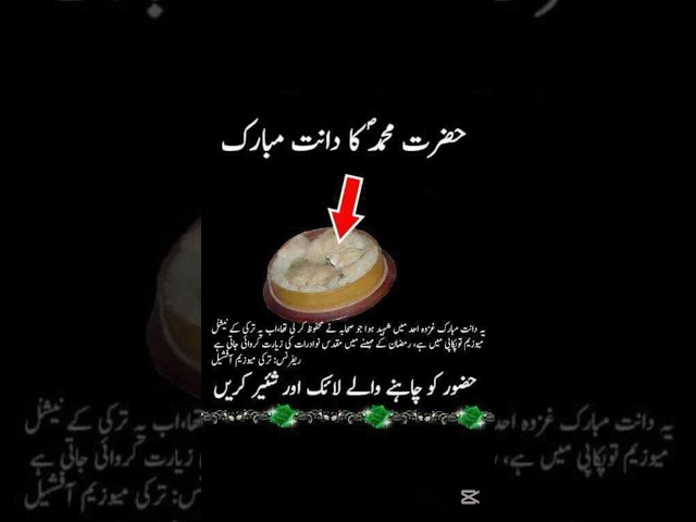 The Things of Holly prophet Hazrat Muhammad saw#youtubeshorts #youtuber#youtubechannel #youtubevideo