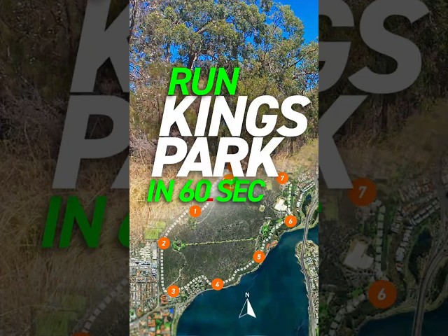 Kings Park Running | 60-Second Overview #running #perthrunning #parkrun #kingspark