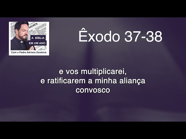 A Bíblia em um Ano - Episódio 50 - Ex 37-38 - Lv 26 - Salmo 82 - Pe. Adriano Zandoná