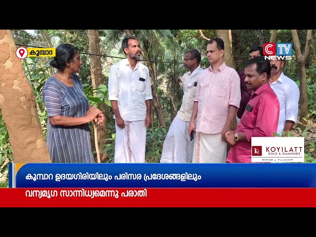 കൂടരഞ്ഞി പഞ്ചായത്തിലെ കൂമ്പാറ ഉദയഗിരിയിലും പരിസര പ്രദേശങളിലും രാത്രികാലങ്ങളിൽ വന്യമൃഗ സാന്നിധ്യം