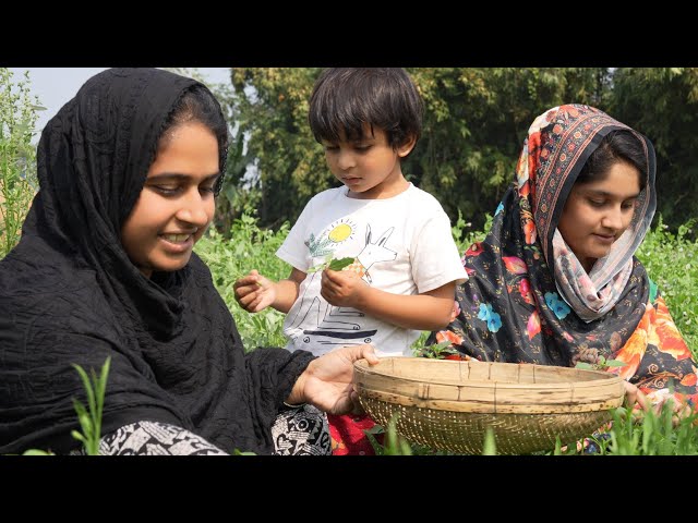 আয়াতের তারা আন্টি এখন কোথায় | Village life with Shampa | Doyel Agro