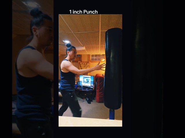 One-Inch Punch #oneinchpunch #fyp #martialarts #Jonny