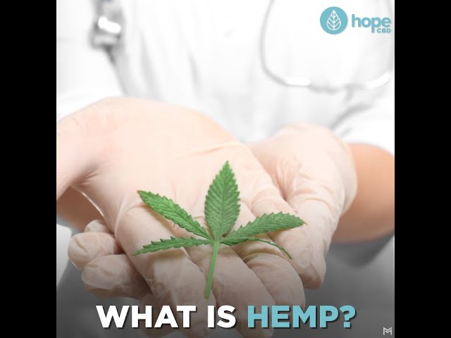 What Is Hemp?