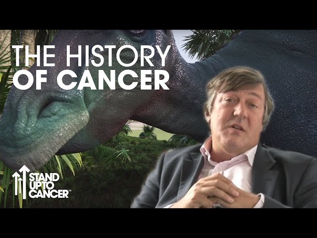 Stephen Fry: The History Of Cancer | 360 Video | Stand Up To Cancer