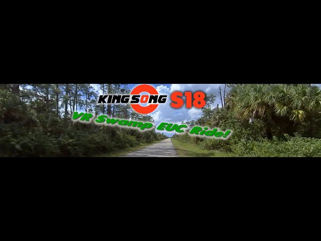 Virtual Reality 360 Electric Unicycle Ride into a Swamp - KingSong S18