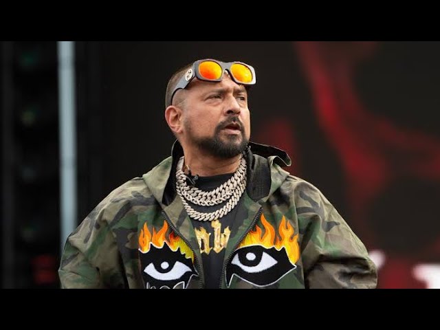 Sean Paul disses a vlogger!