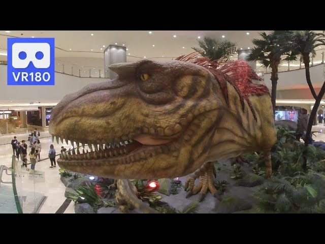 3D 180 VR 4K Tiranossauro Rex Jurassic Dinosaur Park in Studio City 8 Macau