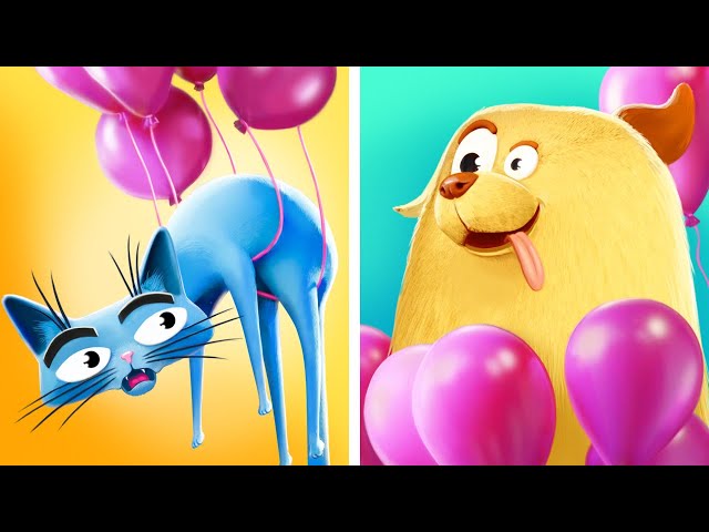 Who Will Get a Balloon? Cat vs Dog vs Hamster