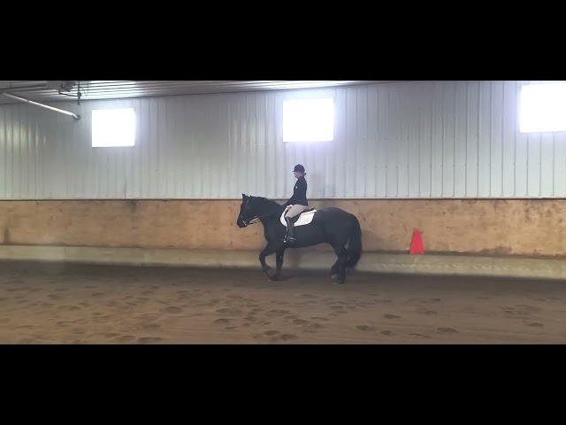 OHSA March 2022 - Class #41, 44 & 51 Hunter Under Saddle & Equitation on the Rail