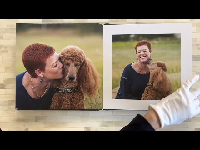 Standard Poodle Photoshoot featured in a custom photo album by Karen Hoglund Photography