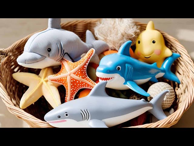 Fish Exploration: Shark, Dolphin, Eel, Beluga, Seahorse, Puffer, Starfish, Turtle, Goldfish, Lobster