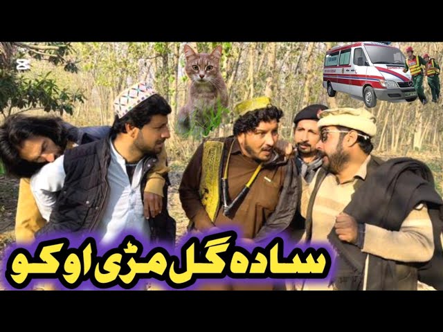 Sada Gul Marree Oko Pashto New Funny Video Dubai Vines 2024 #trending #unfrezzmyaccount #pashtofunny