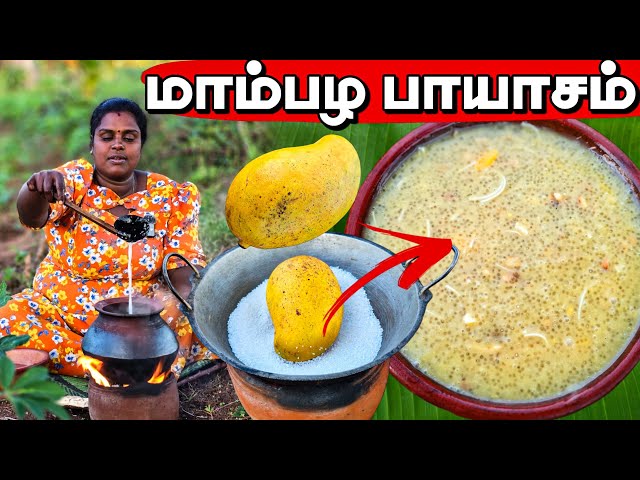 மாம்பழத்தில் சுவையான பாயாசம் | Our Village life | Our cooking | vanni vlog