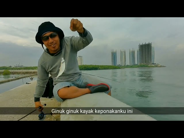 Spot mancing Dam Ijo Muara Baru || panen dengan teknik kotrekan.  #angler #mancingmania #fishingfish