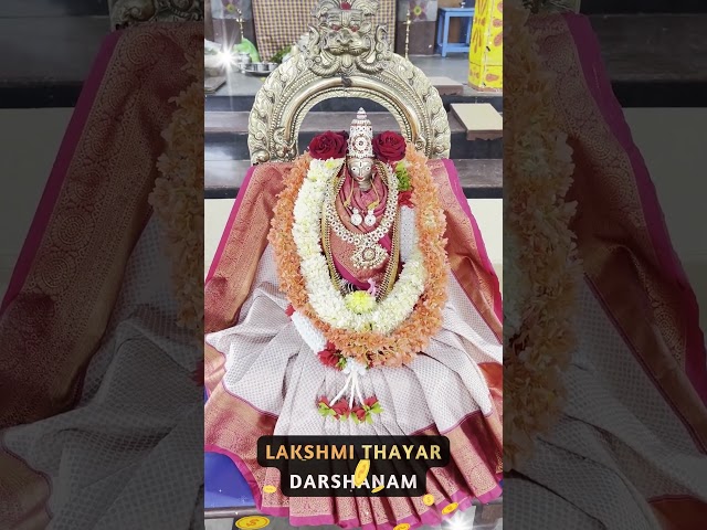 🕉️ Lakshmi Thayar Darshanam 🆕 Goddess Lakshmi | Friday Blessings #dharmam  #shorts