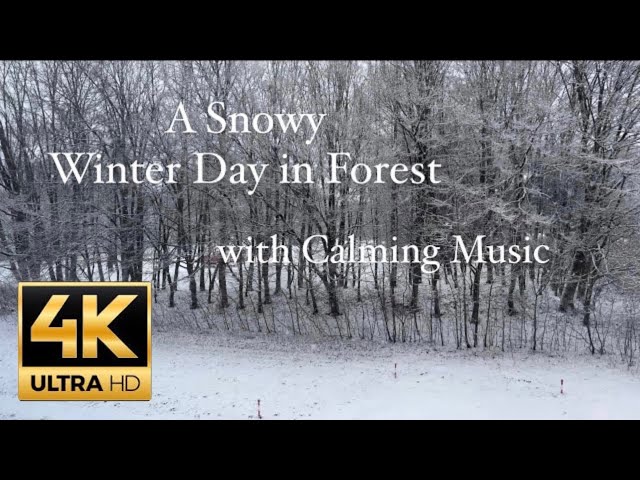 4K SNOW COSY MUSIC FOREST VIEW - WINTER GERMANY -RURAL-PEACEFULL BACKGROUND VIDEO - STUDY MOTIVATION