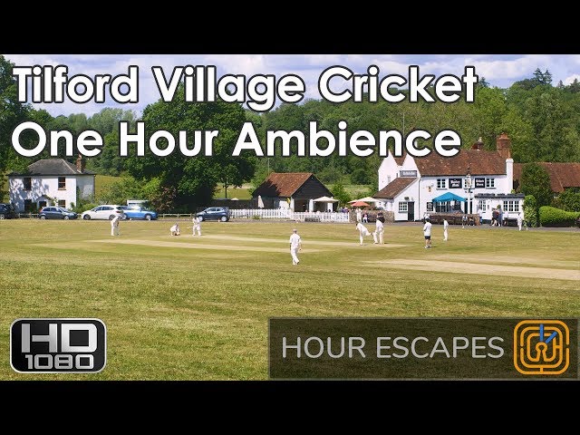 HD English Village Cricket - One Hour Ambient Sound and Video