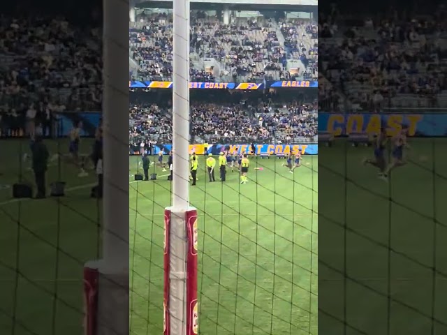 West Coast Eagles run into the field! AFL Round 7 2023: West Coast v Carlton