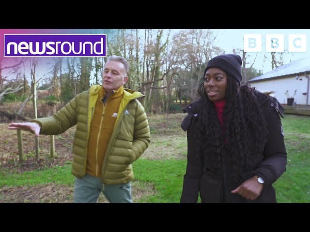 Chris Packham shows Newsround his wildlife garden | Newsround