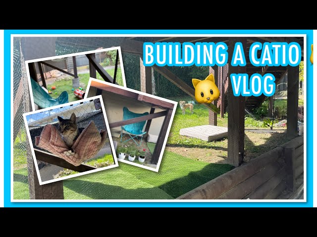 Building a Cat Enclosure! | VLOG