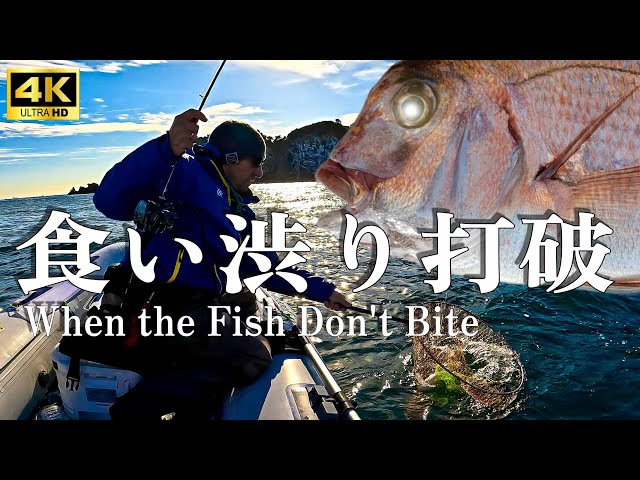 Winter Sea Fishing: When the fish don't bite!