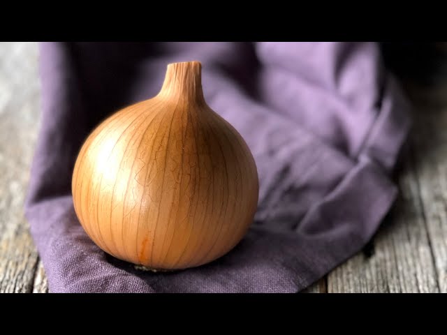 Grow BIG ONIONS from seed: Part 1 seed starting