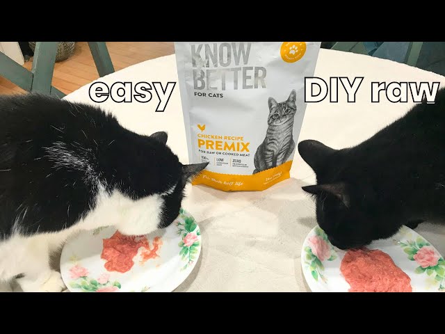 Make 3 pounds of cat food in less than 5 minutes (raw or cooked!)