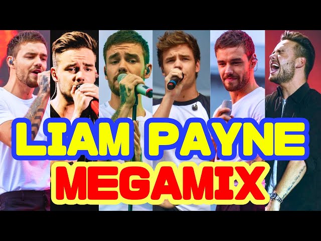 Liam Payne Megamix (more than 50 songs) by Jungle Sue