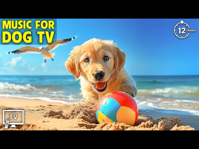 12 Hours of Dog Calming Music for Dog 🐕 Music Relax Your Dogs & Stop Boredom 🐕 Dog Healing Music