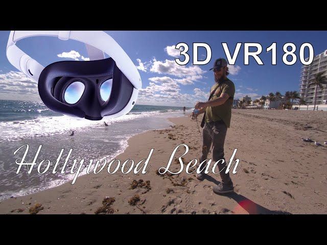 #VR180 #hollywoodbeach DO NOT Nibble the Manowar Jellyfish!