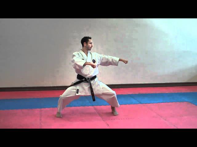 Tekki Shodan (slow) - Warren Levi Karate