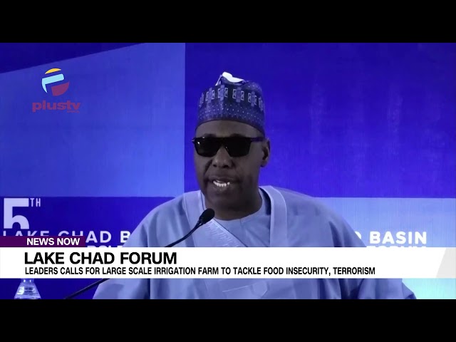 Lake Chad Forum: Leaders Call For Large Scale Irrigation Farm To Tackle Food Insecurity, Terrorism