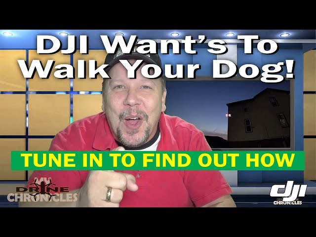 DJI Want's to Walk Your Dog!