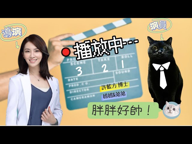 給有Monday Blues的上班族😂 | 博士與她的愛貓們 - 黑咖灰日記ep.13 (Dr. Gracie and Her Beloved Cats ep.13)