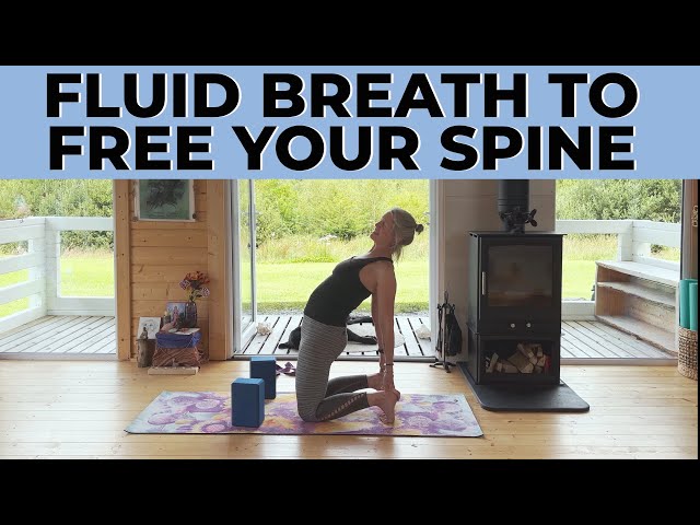 Fluid Breath To Free Your Spine