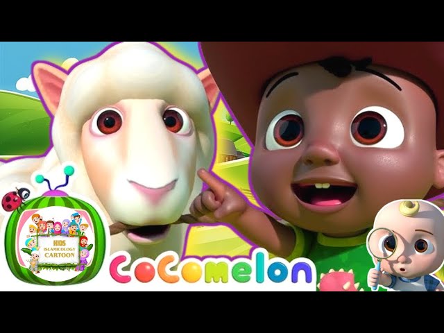 Baa Baa Black Sheep | CoComelon Nursery Rhymes & Kids Songs