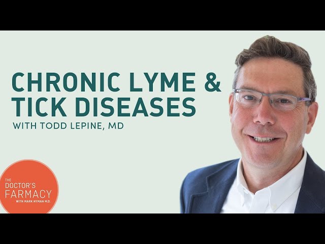 How To Recover From Chronic Lyme And Tick Diseases