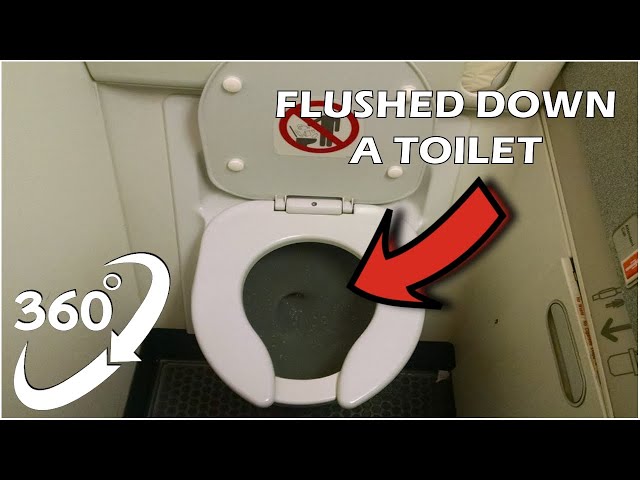 360 Video | Flushed Down A Toilet Version 8 | VR 4K