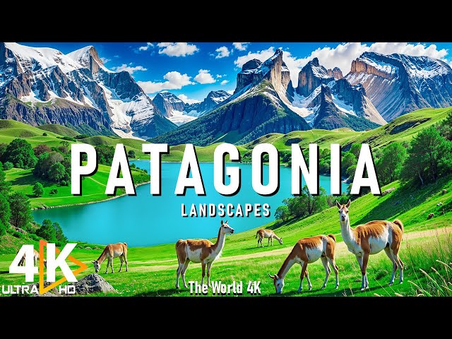 Patagonia 4K 🏔️ Explore Majestic Glaciers, Rugged Peaks, and Untamed Wilderness 🌿 Relaxing Music