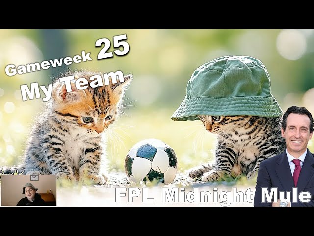 FPL Gameweek 25 - Assistant Manager - My Transfer Options and My Team