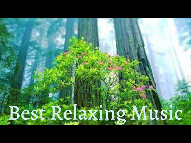 Beautiful Relaxing Music for Stress Relief  Calming Music ,Meditation, Relaxation, Sleep, Spa, study