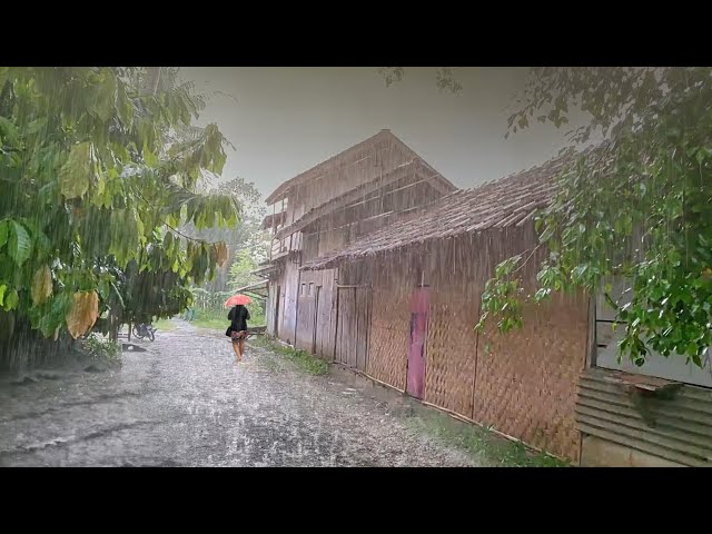 Rain Strong Wind and Thunderstorm ,Scary in village Red Soil | Rainstorm Sounds for Relaxing